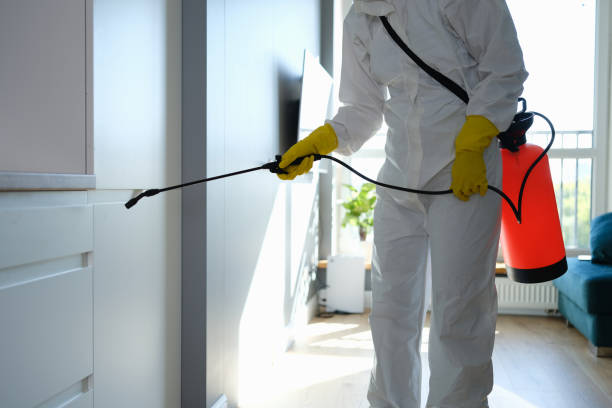 Best Best Mold Removal Companies  in Yorktown, IN
