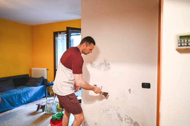 Best Mold Cleaning Services  in Yorktown, IN